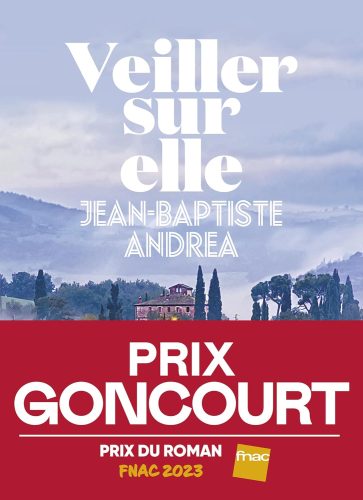 کتاب Veiller sur elle – Prix Goncourt 2023 (French Edition) [فرانسوی]