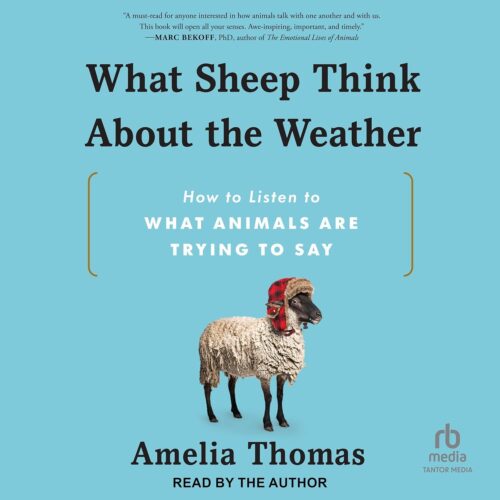 کتاب صوتی What Sheep Think About the Weather: How to Listen to What Animals Are Trying to Say [انگلیسی]