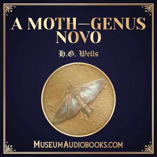 کتاب صوتی A Moth – Genus Novo [انگلیسی]