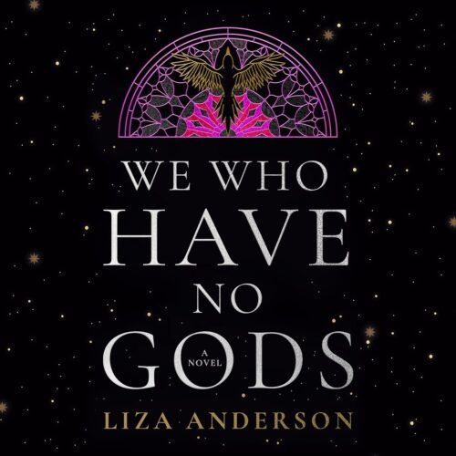 کتاب صوتی We Who Have No Gods: A Novel [انگلیسی]