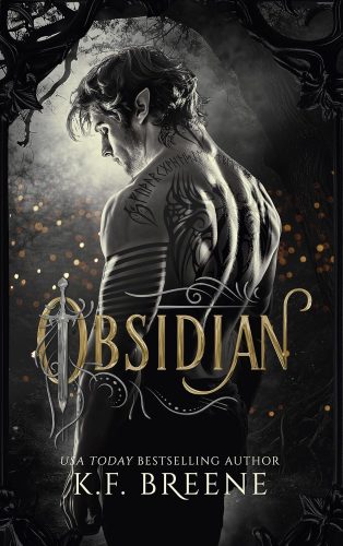 کتاب Obsidian (Shadowbound Fae Book 1) [انگلیسی]