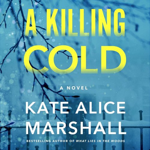 کتاب صوتی A Killing Cold: A Novel [انگلیسی]