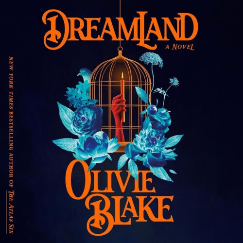 کتاب صوتی Dreamland: A Novel [انگلیسی]