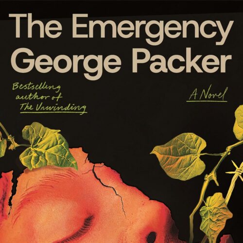 کتاب صوتی The Emergency: A Novel [انگلیسی]