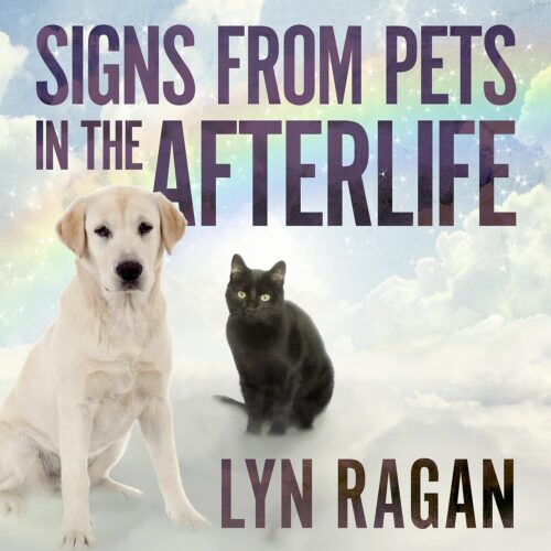 کتاب صوتی Signs from Pets in the Afterlife [انگلیسی]