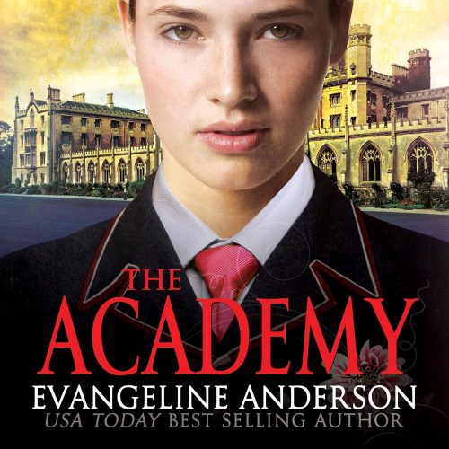 کتاب صوتی The Academy [انگلیسی]