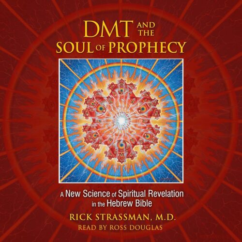 کتاب صوتی DMT and the Soul of Prophecy: A New Science of Spiritual Revelation in the Hebrew Bible [انگلیسی]