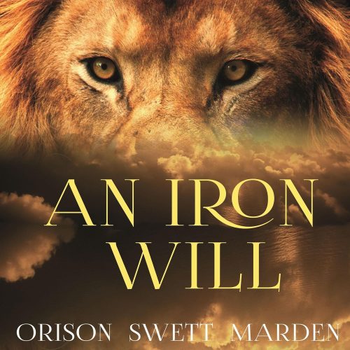 کتاب صوتی An Iron Will [انگلیسی]