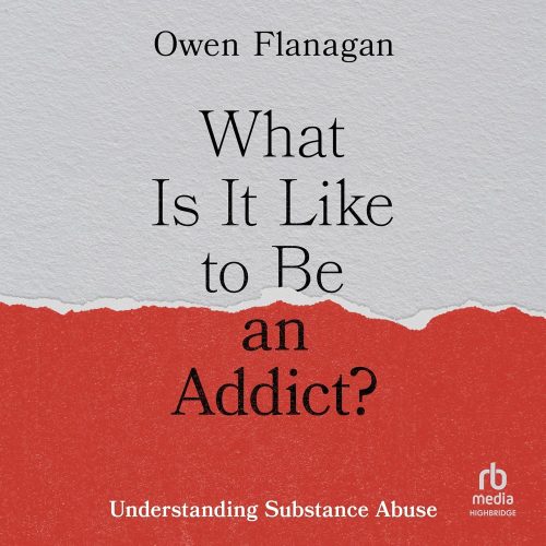 کتاب صوتی What Is It Like to Be an Addict?: Understanding Substance Abuse [انگلیسی]