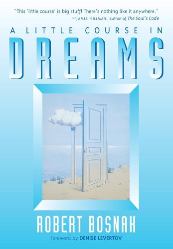 کتاب A Little Course in Dreams [انگلیسی]