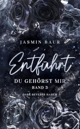 کتاب Entführt: Du gehörst mir – Band 3 (Dark Reverse Harem) (German Edition) [آلمانی]