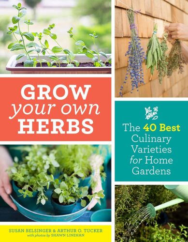 کتاب Grow Your Own Herbs: The 40 Best Culinary Varieties for Home Gardens [انگلیسی]