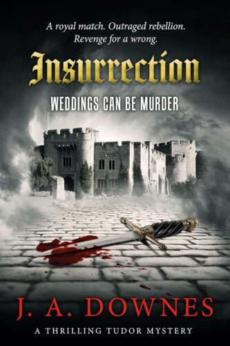 کتاب Insurrection: Weddings can be murder (A cosy Tudor historical fiction mystery) (Predestination Book 3) [انگلیسی]