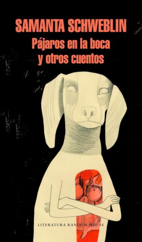 کتاب Pájaros en la boca y otros cuentos (Spanish Edition) [اسپانیایی]