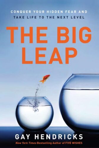 کتاب The Big Leap: Conquer Your Hidden Fear and Take Life to the Next Level [انگلیسی]
