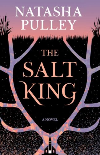 کتاب The Salt King: A Novel [انگلیسی]