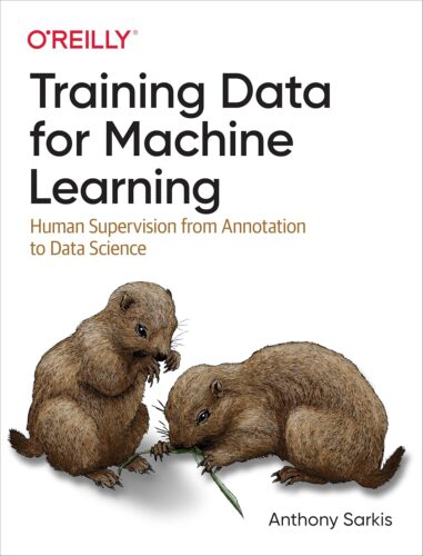 کتاب Training Data for Machine Learning: Human Supervision from Annotation to Data Science [انگلیسی]