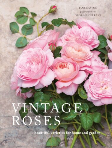 کتاب Vintage Roses: Beautiful varieties for home and garden (Beautiful Varieties/Home/Gardn) [انگلیسی]